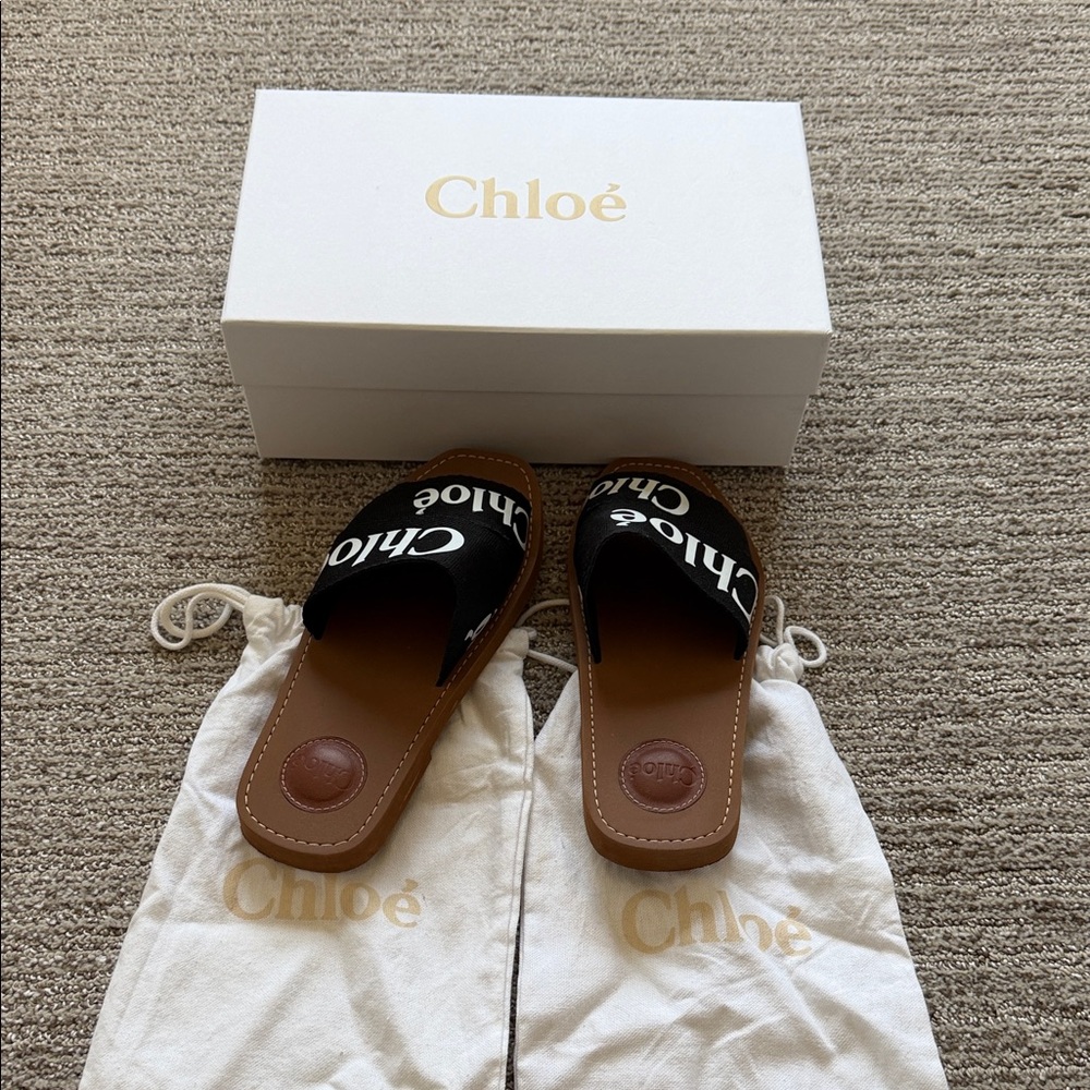 Chloe Black and Brown Slide Sandals